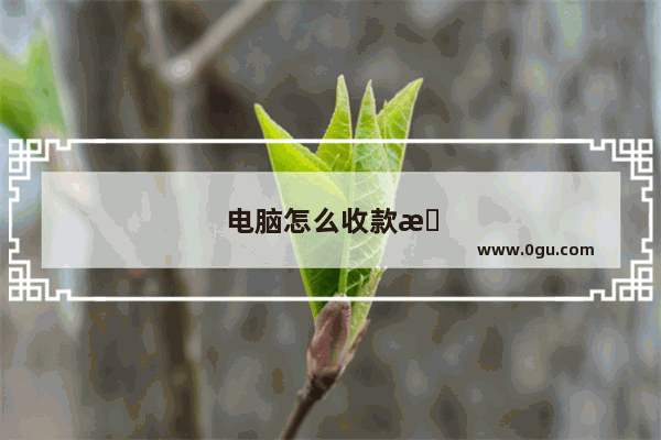 电脑怎么收款播报