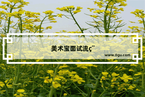 美术宝面试流程