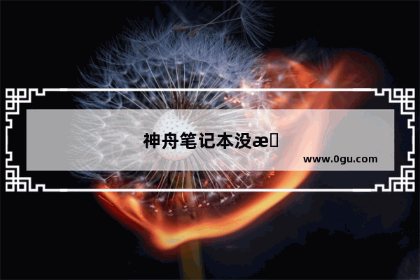 神舟笔记本没有声卡怎办