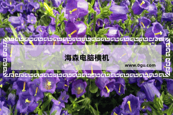海森电脑横机