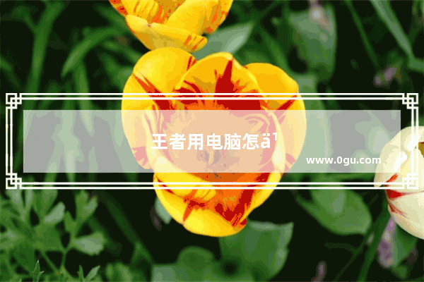 王者用电脑怎么玩的