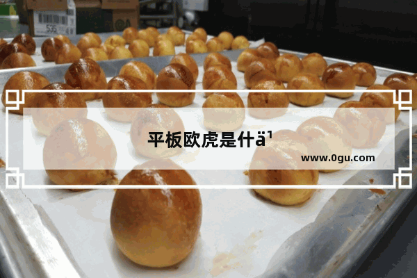 平板欧虎是什么牌子的