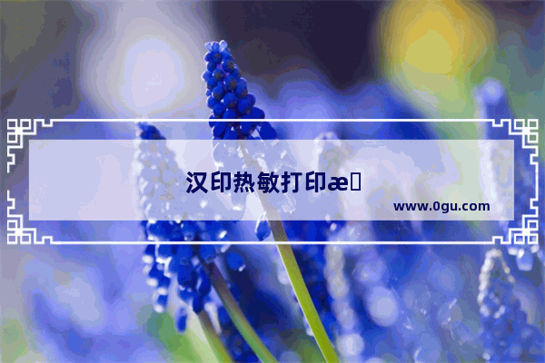 汉印热敏打印机怎么连接电脑