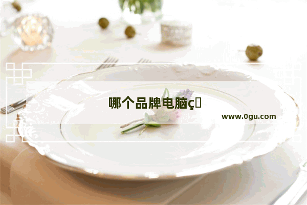 哪个品牌电脑的售后服务最好