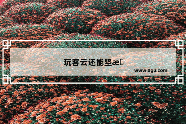 玩客云还能坚持多久？虚拟货币何去何从