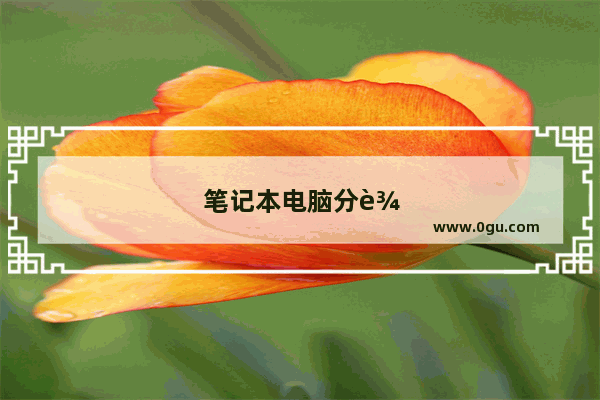 笔记本电脑分辨率在哪里看