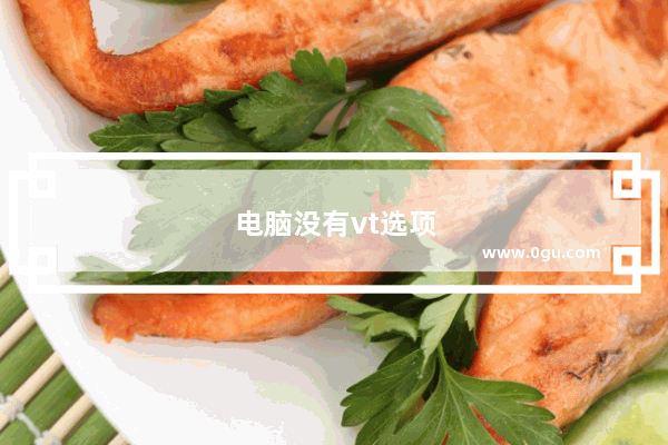 电脑没有vt选项怎么办