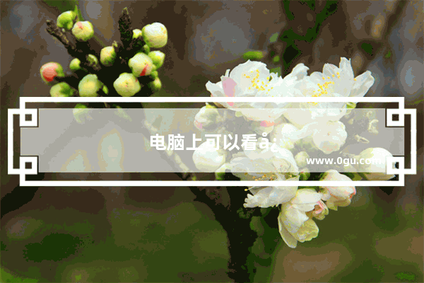 电脑上可以看快手吗