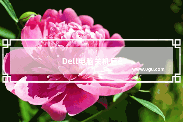 Dell电脑关机后自动重启怎么解决