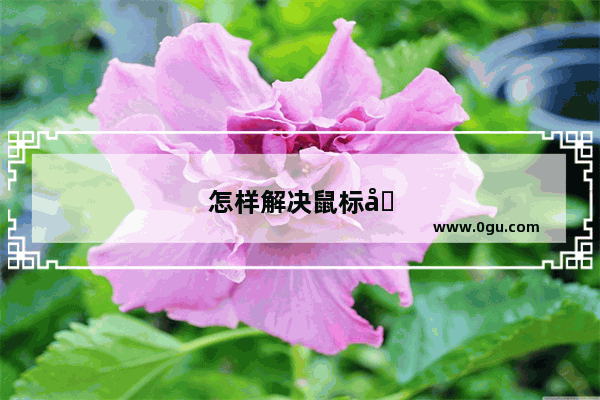 怎样解决鼠标右键没有新建word