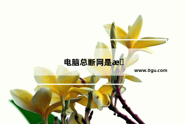 电脑总断网是怎么回事