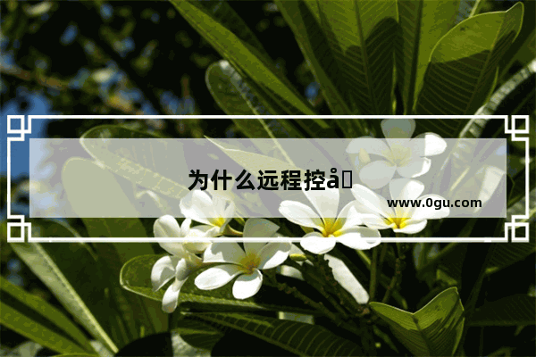 为什么远程控制电脑总是连接不上