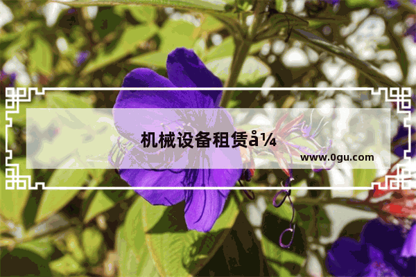 机械设备租赁开具什么发票 税率是多少