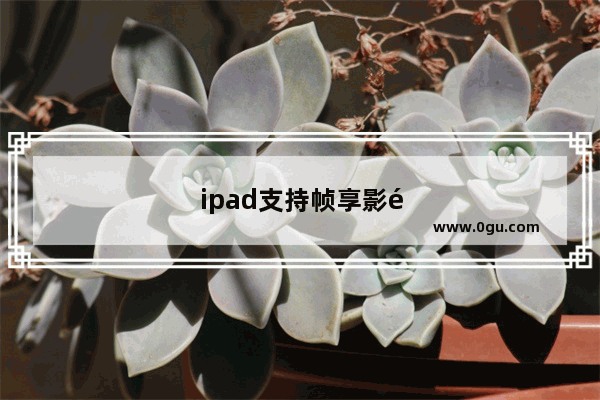 ipad支持帧享影音的平板