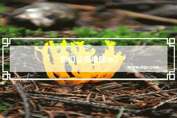 你们公司电脑是自带 还是购买