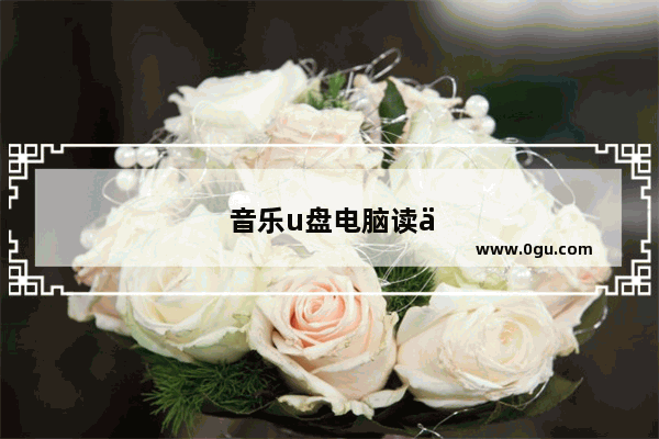 音乐u盘电脑读不出来