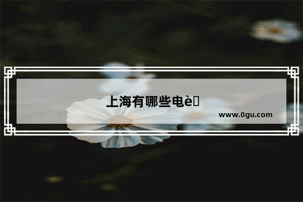 上海有哪些电脑城 在什么地方