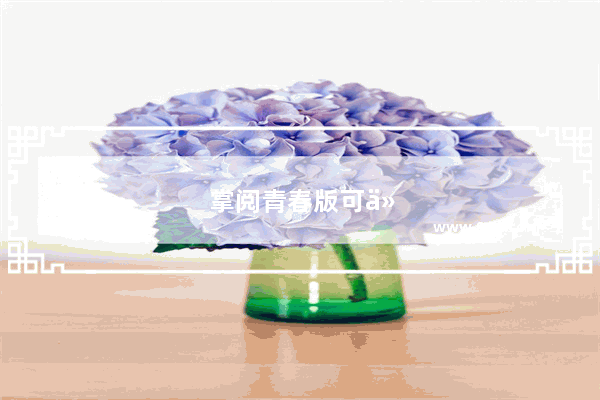 掌阅青春版可以开网页吗