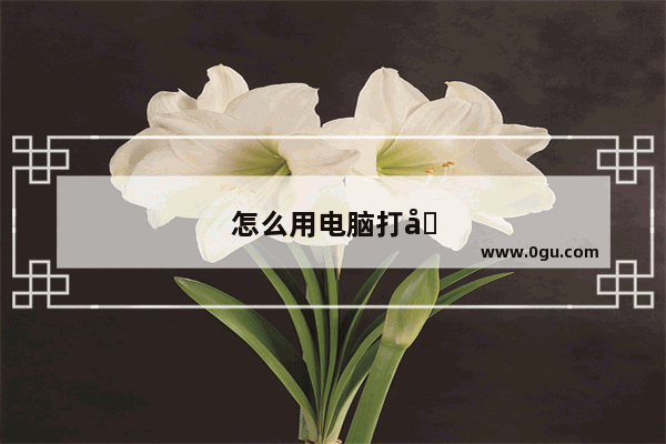 怎么用电脑打印快递单视频