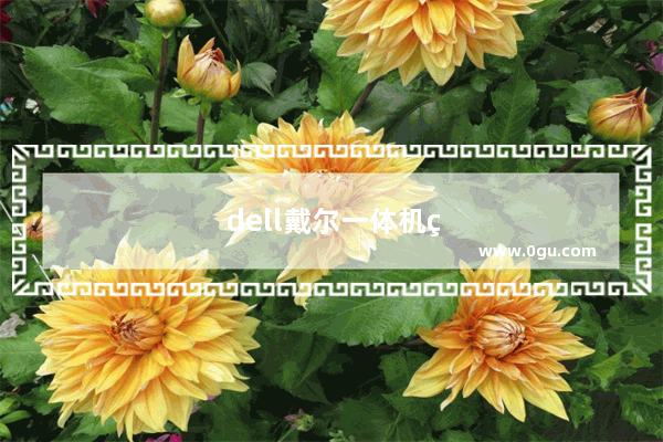 dell戴尔一体机电脑好不好用