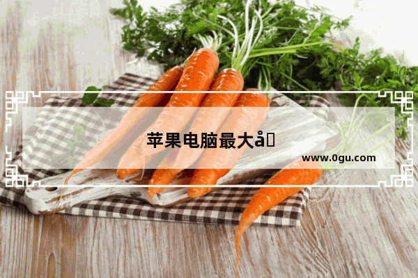 苹果电脑最大化快捷键是什么