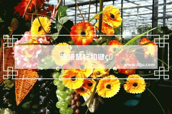 连接鼠标和键盘的接口是
