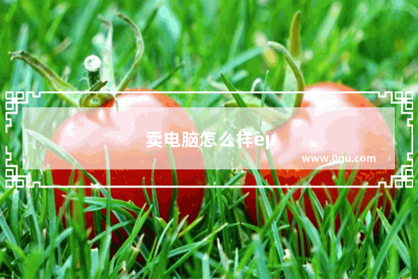 卖电脑怎么样赚钱