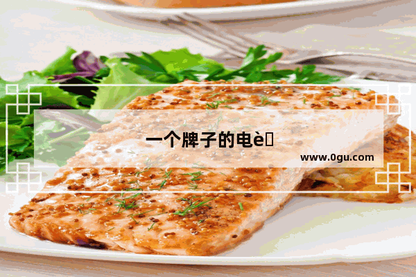 一个牌子的电脑都可以共用一个充电器吗