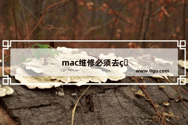 mac维修必须去直营店吗