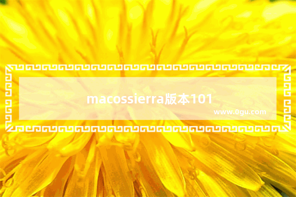 macossierra版本10126怎样安装虚拟机