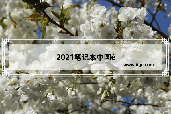 2021笔记本中国销量排行榜