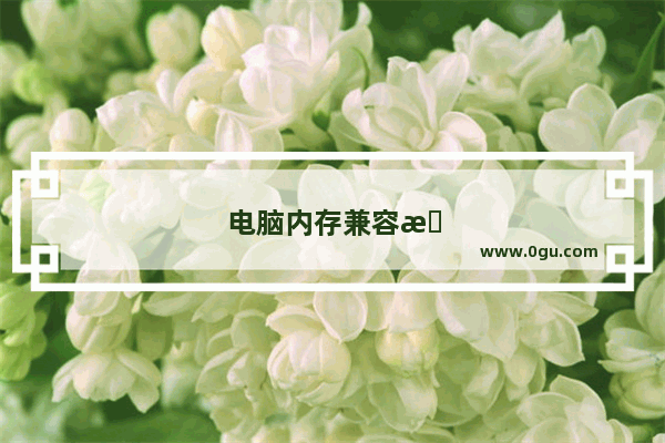 电脑内存兼容性问题怎么解决