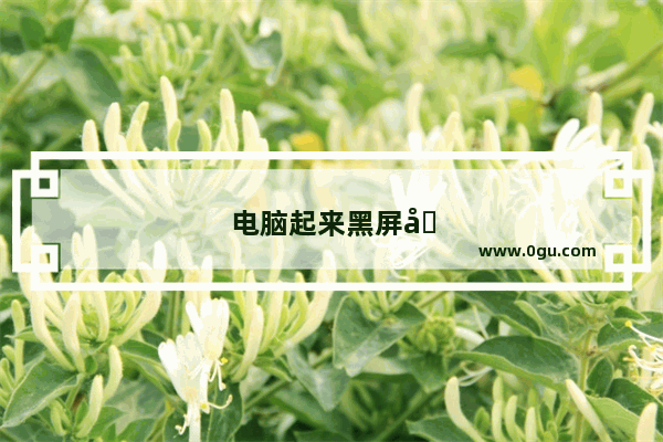 电脑起来黑屏出现鼠标