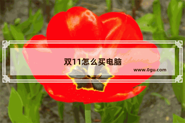 双11怎么买电脑最划算