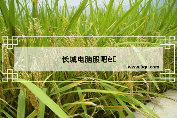 长城电脑股吧股吧