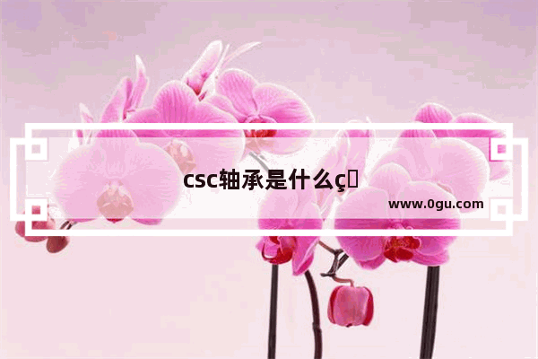 csc轴承是什么牌子