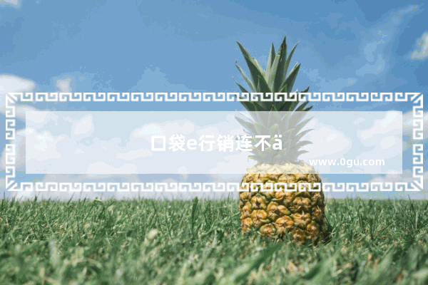 口袋e行销连不上网络