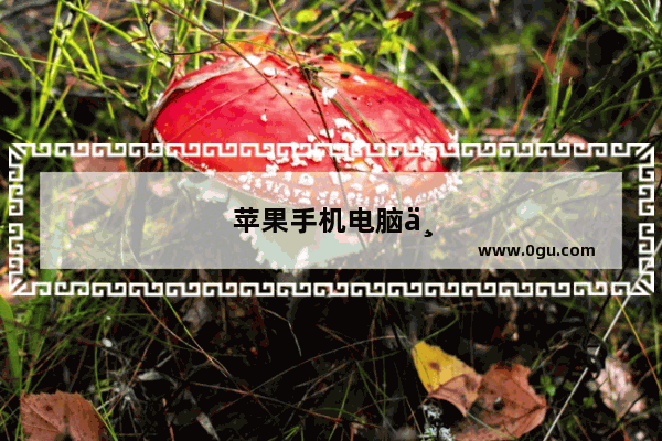 苹果手机电脑不识别怎么办