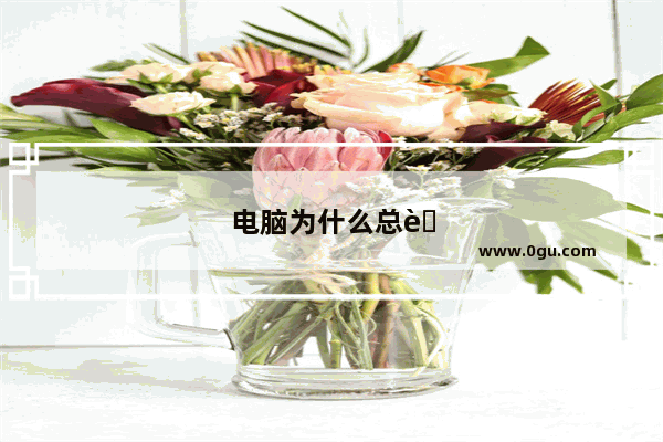 电脑为什么总自动关机怎么办