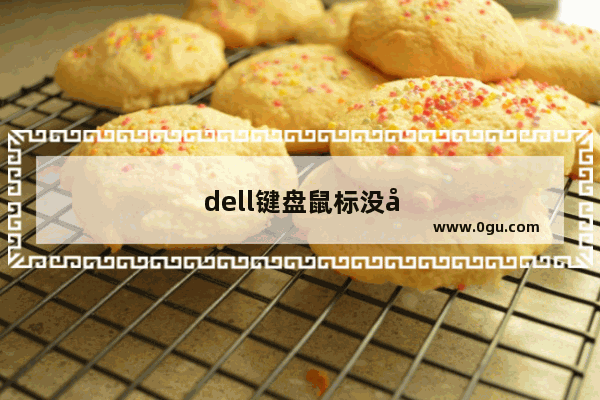 dell键盘鼠标没反应怎么办