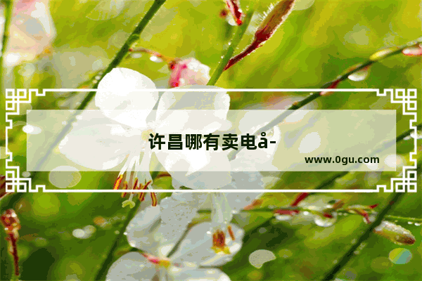 许昌哪有卖电子元器件的商店 具体地点 店名 `