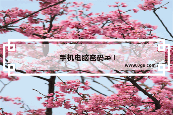 手机电脑密码怎么设置