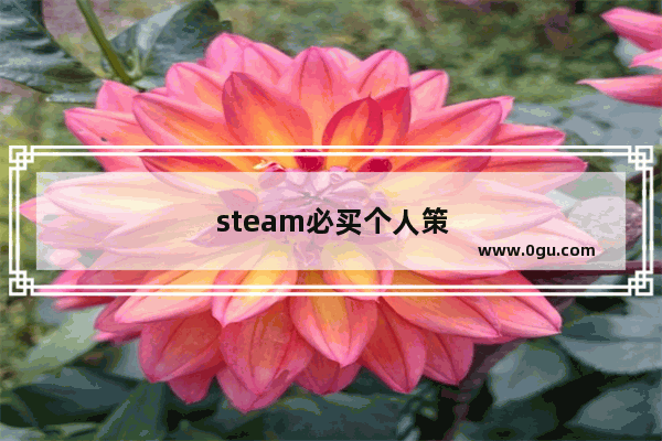 steam必买个人策略单机游戏