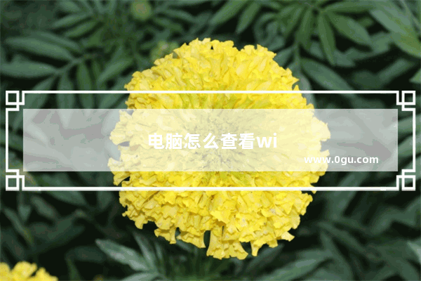 电脑怎么查看wifi密码