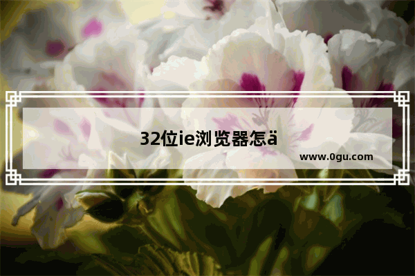 32位ie浏览器怎么看