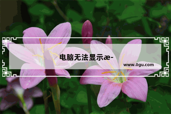 电脑无法显示此网页怎么回事