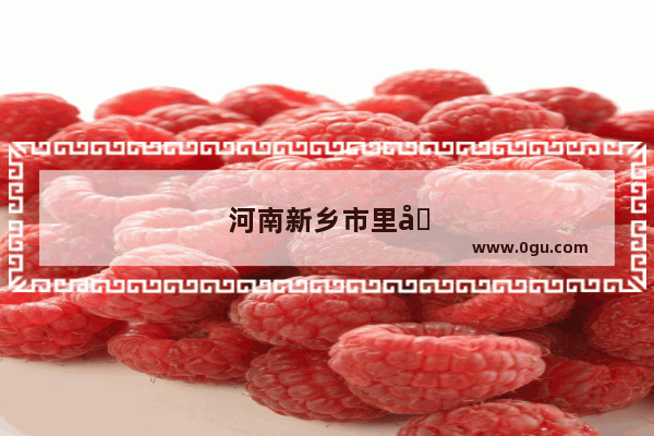 河南新乡市里哪里修手机比较好