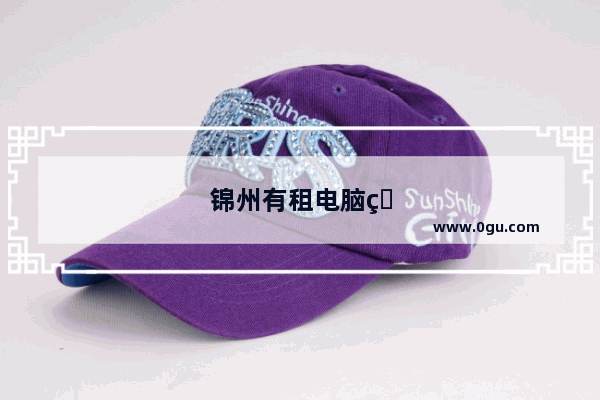 锦州有租电脑的吗