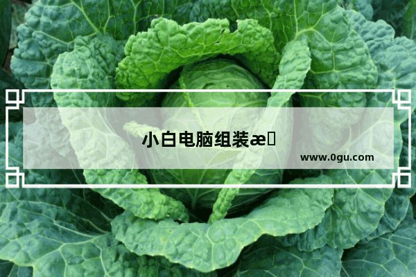 小白电脑组装机怎么选