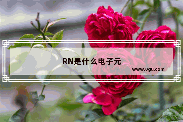 RN是什么电子元件